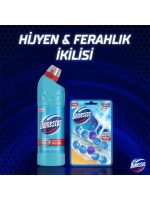 Domestos Yoğun Kıvamlı Çamaşır Suyu Okaliptüs Ferahlığı 750 ml 20 adet - Görsel 6